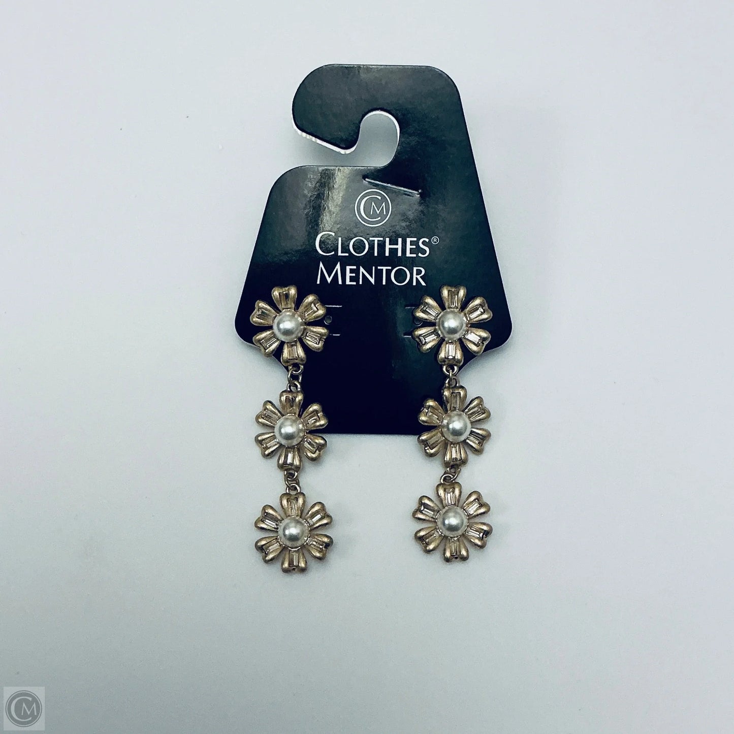 Earrings Dangle/drop By Canvas