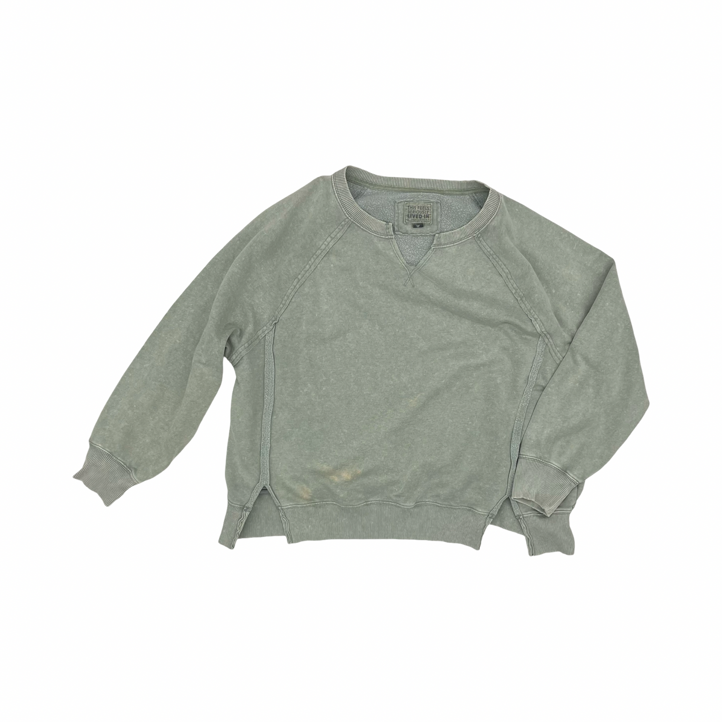 Sweatshirt Crewneck By American Eagle In Green, Size:M