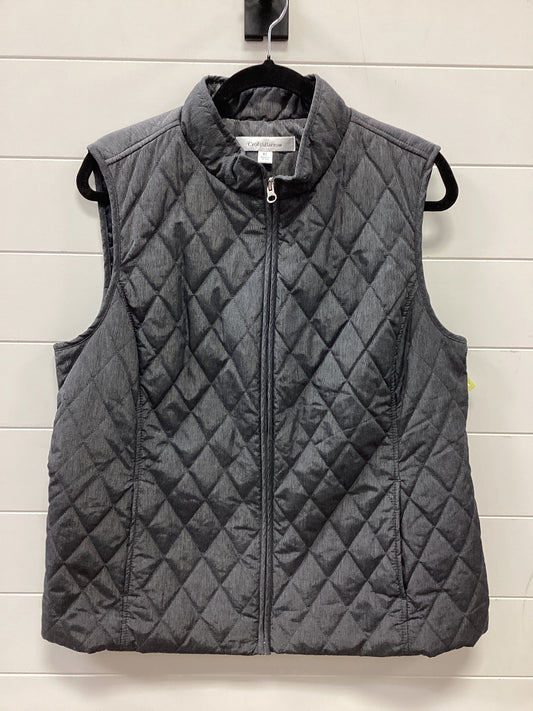 Vest Other By Croft And Barrow In Grey, Size:Xl