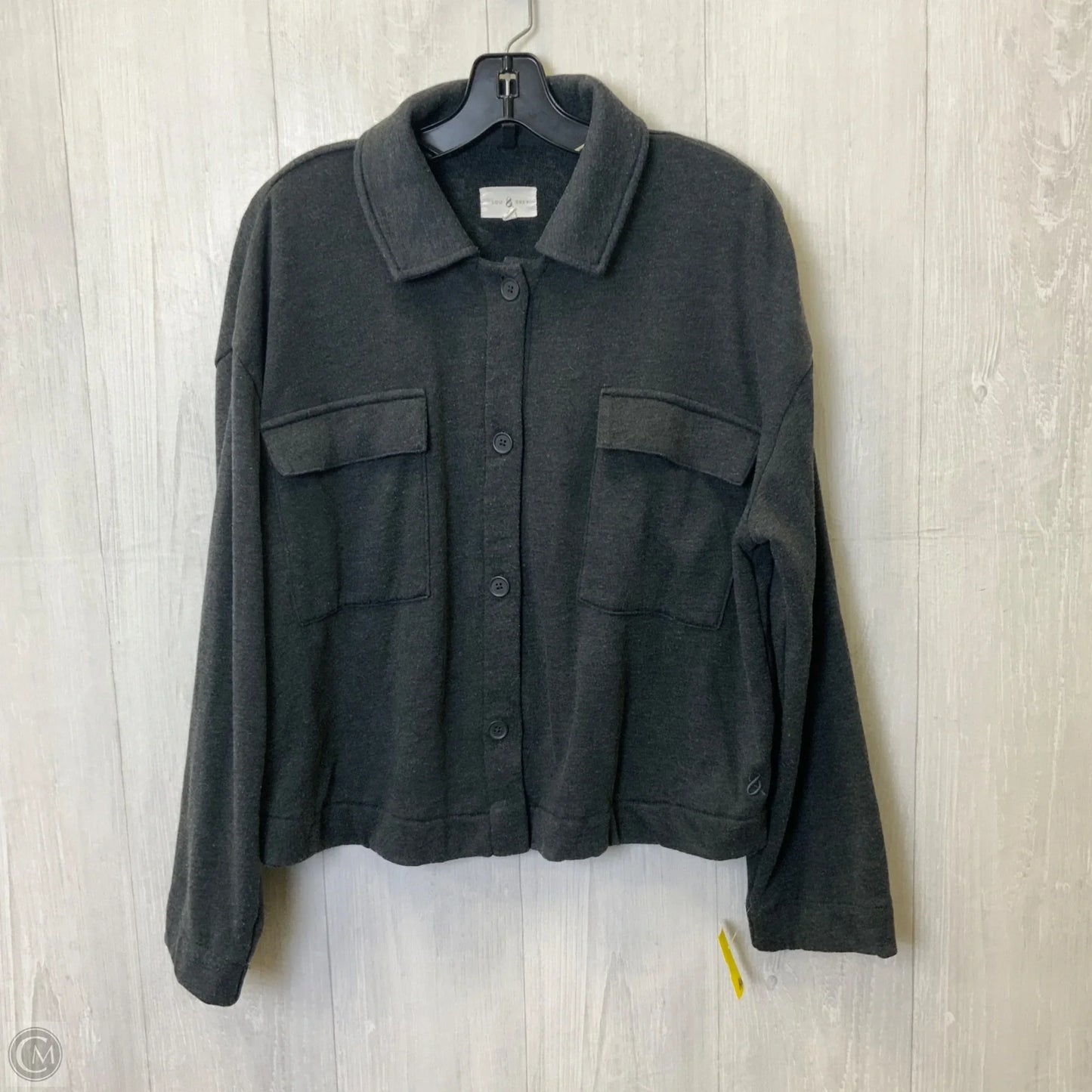 Blouse Long Sleeve By Lou And Grey In Grey, Size: L