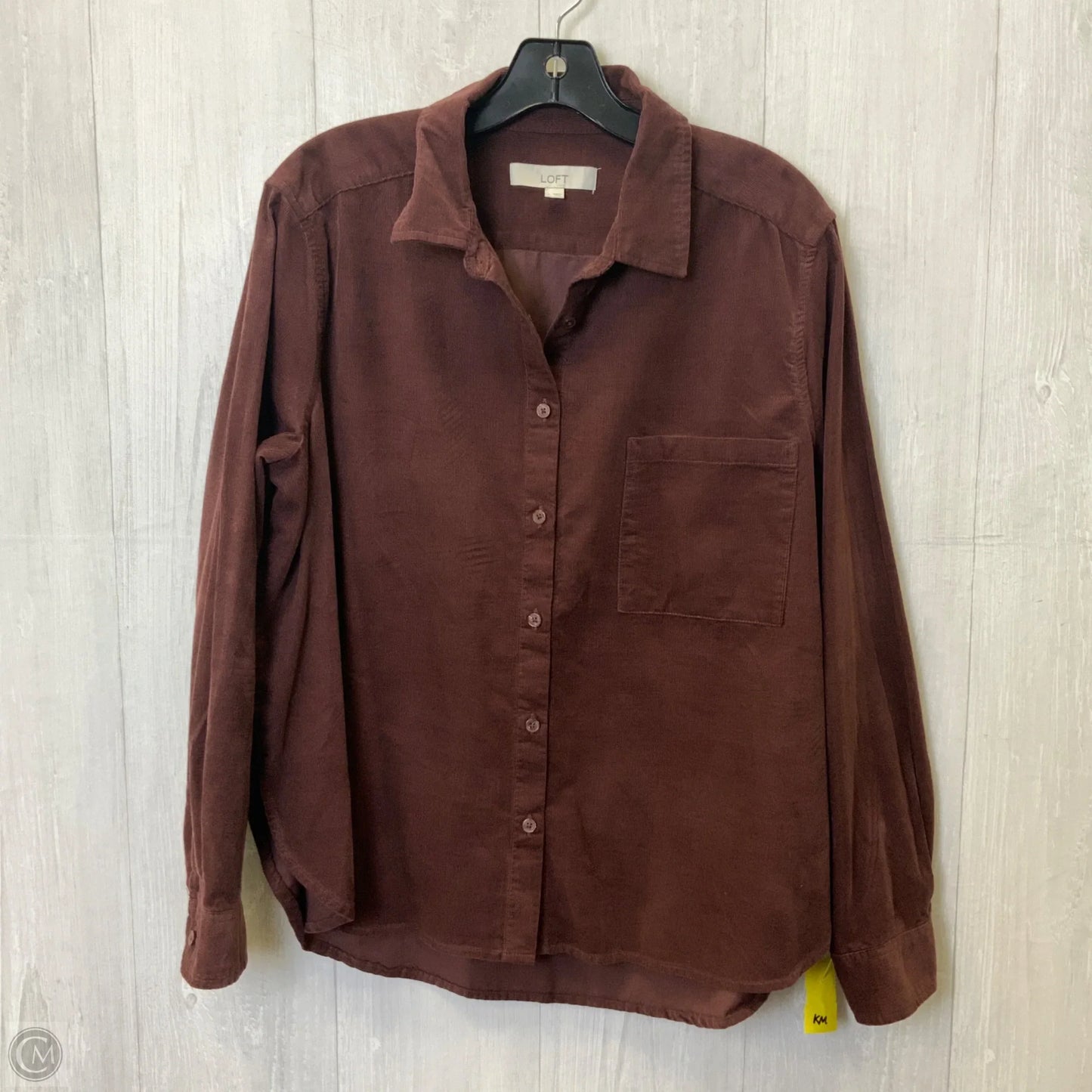 Blouse Long Sleeve By Loft In Brown, Size: L