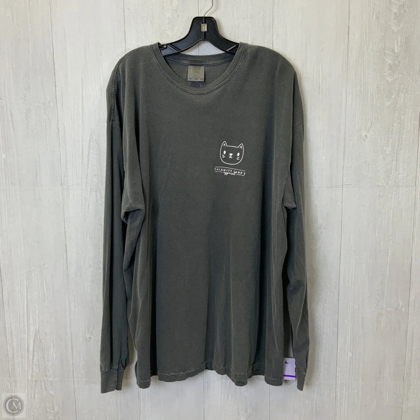 Top Long Sleeve By Comfort Colors In Grey, Size: 2x