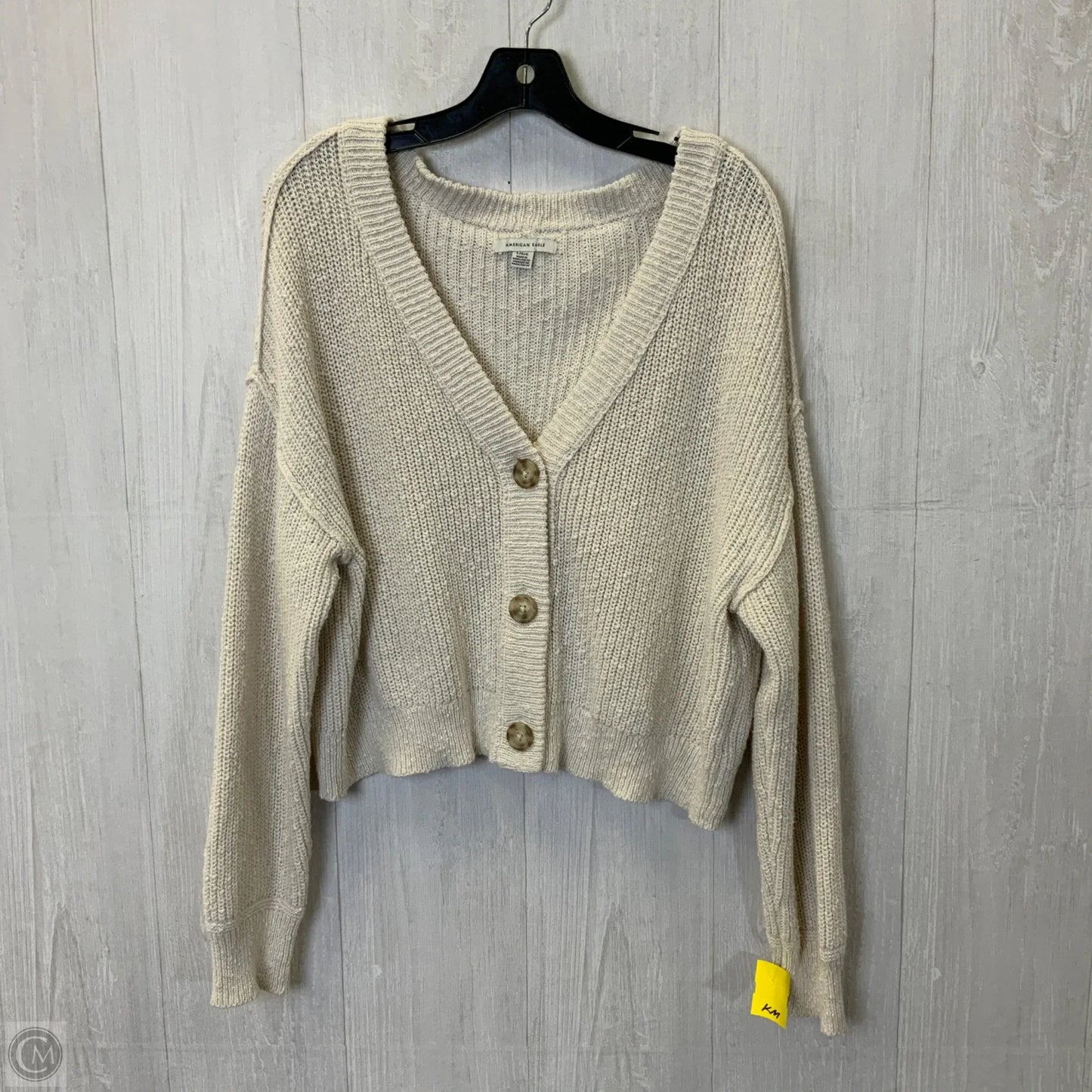 Sweater Cardigan By American Eagle In Cream, Size: L