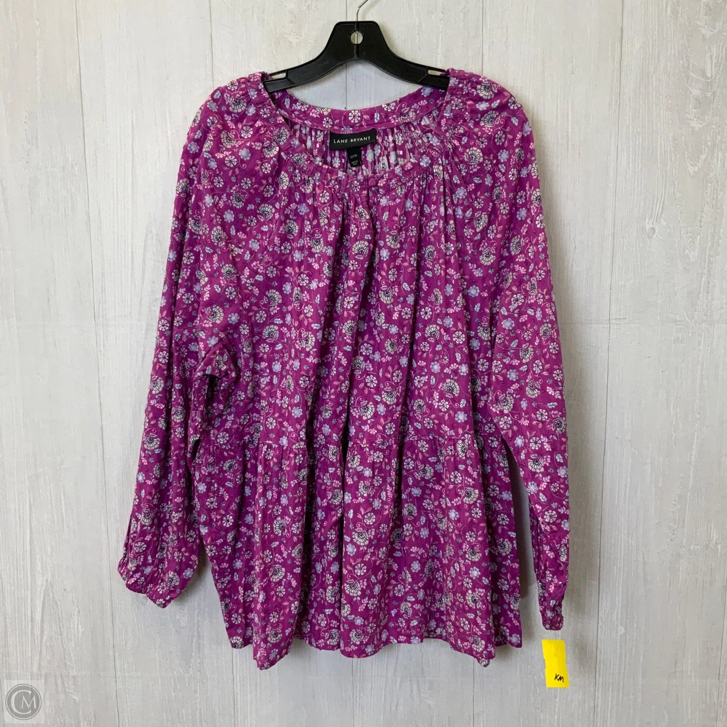 Top Long Sleeve By Lane Bryant In Blue & Purple, Size: 3x