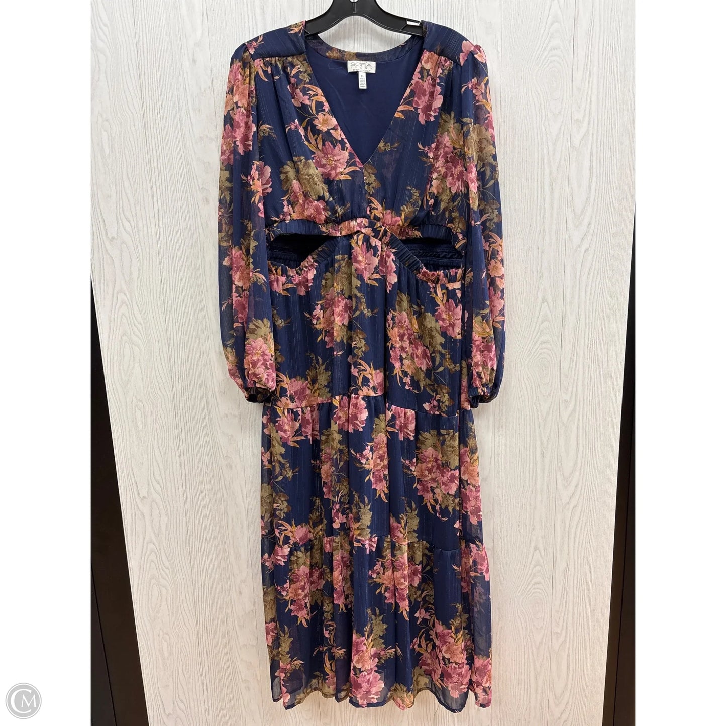 Dress Casual Maxi By Sofia By Sofia Vergara In Blue & Pink, Size: Xl