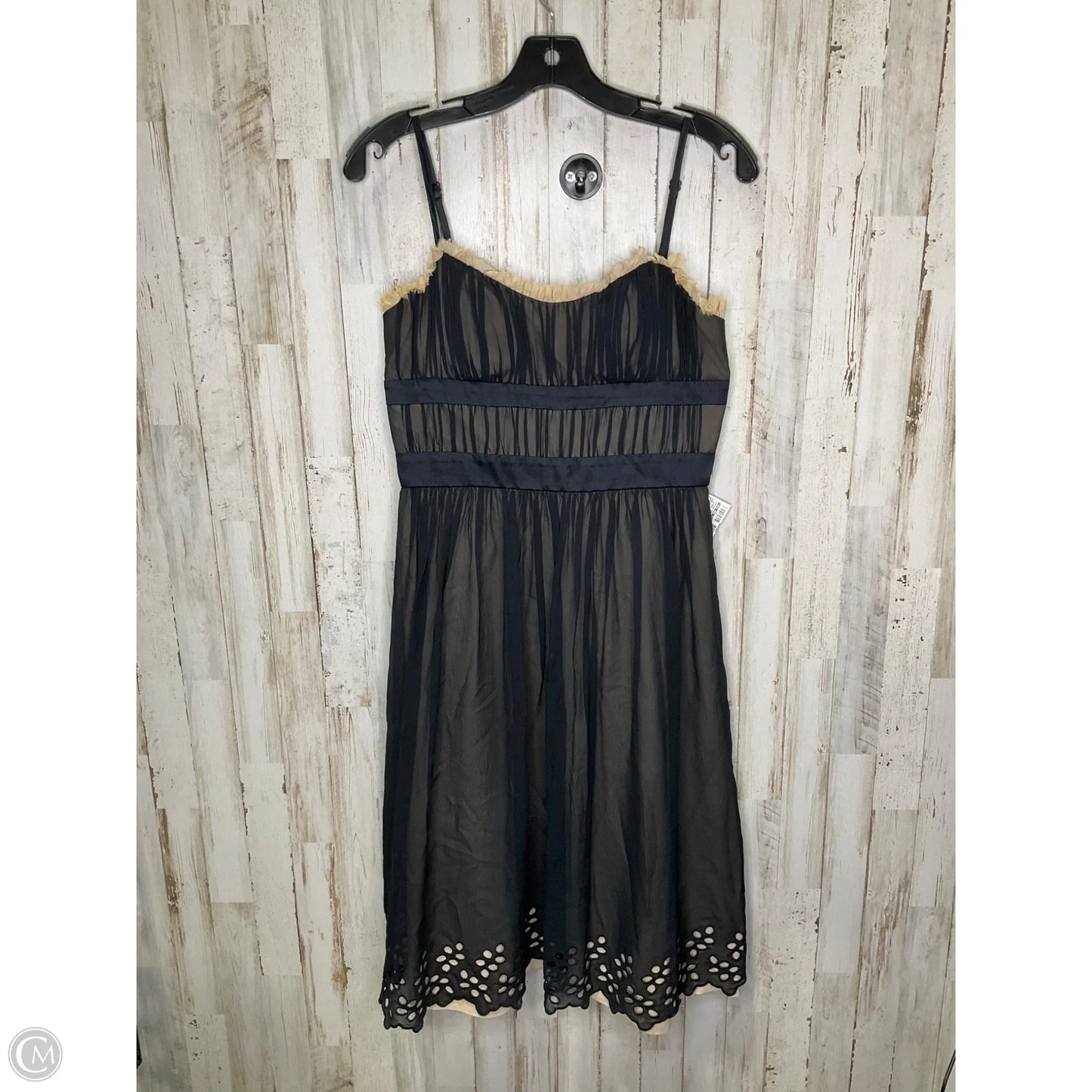 Dress Casual Short By Max And Cleo In Black, Size: 6