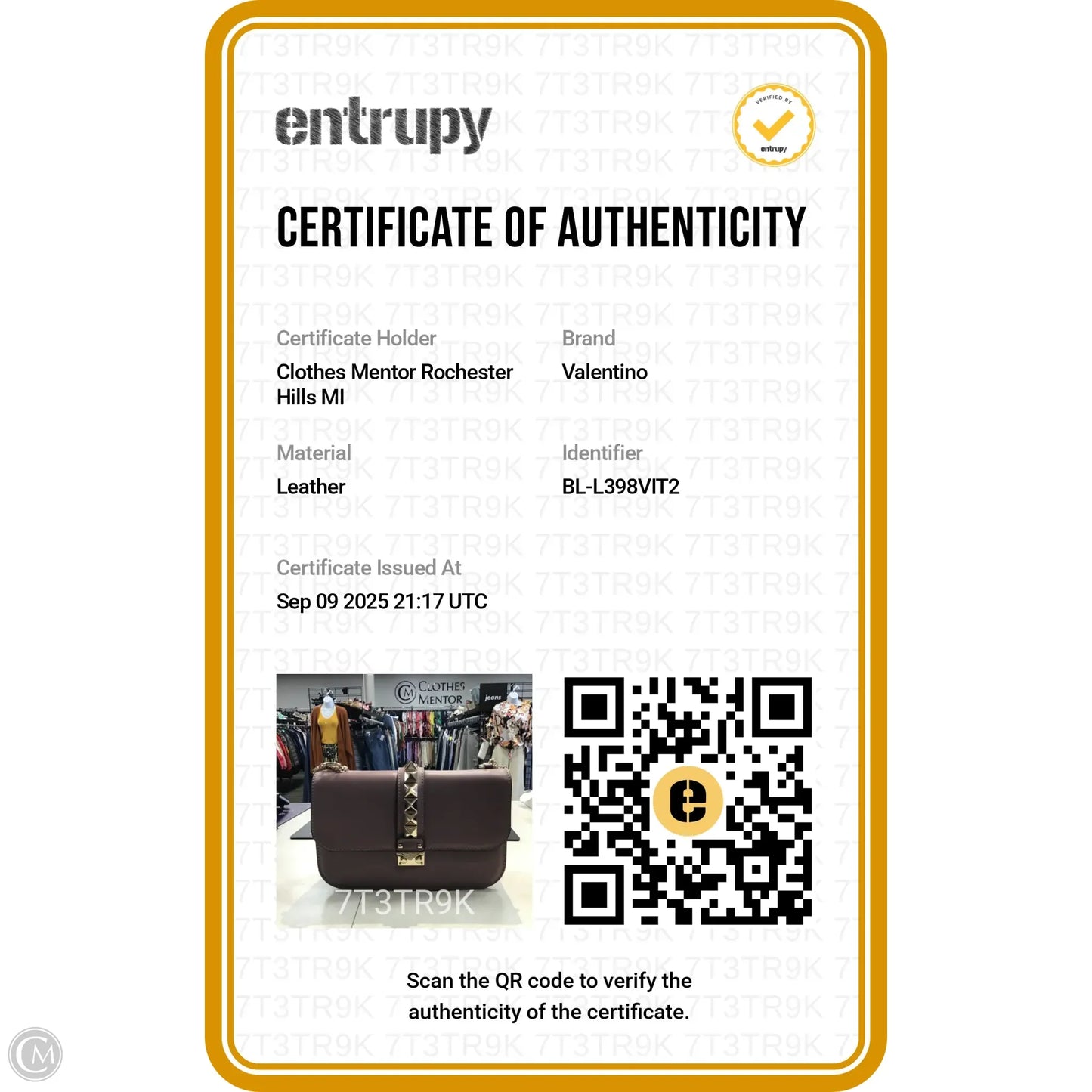 Crossbody Designer By Valentino-garavani, Size: Large