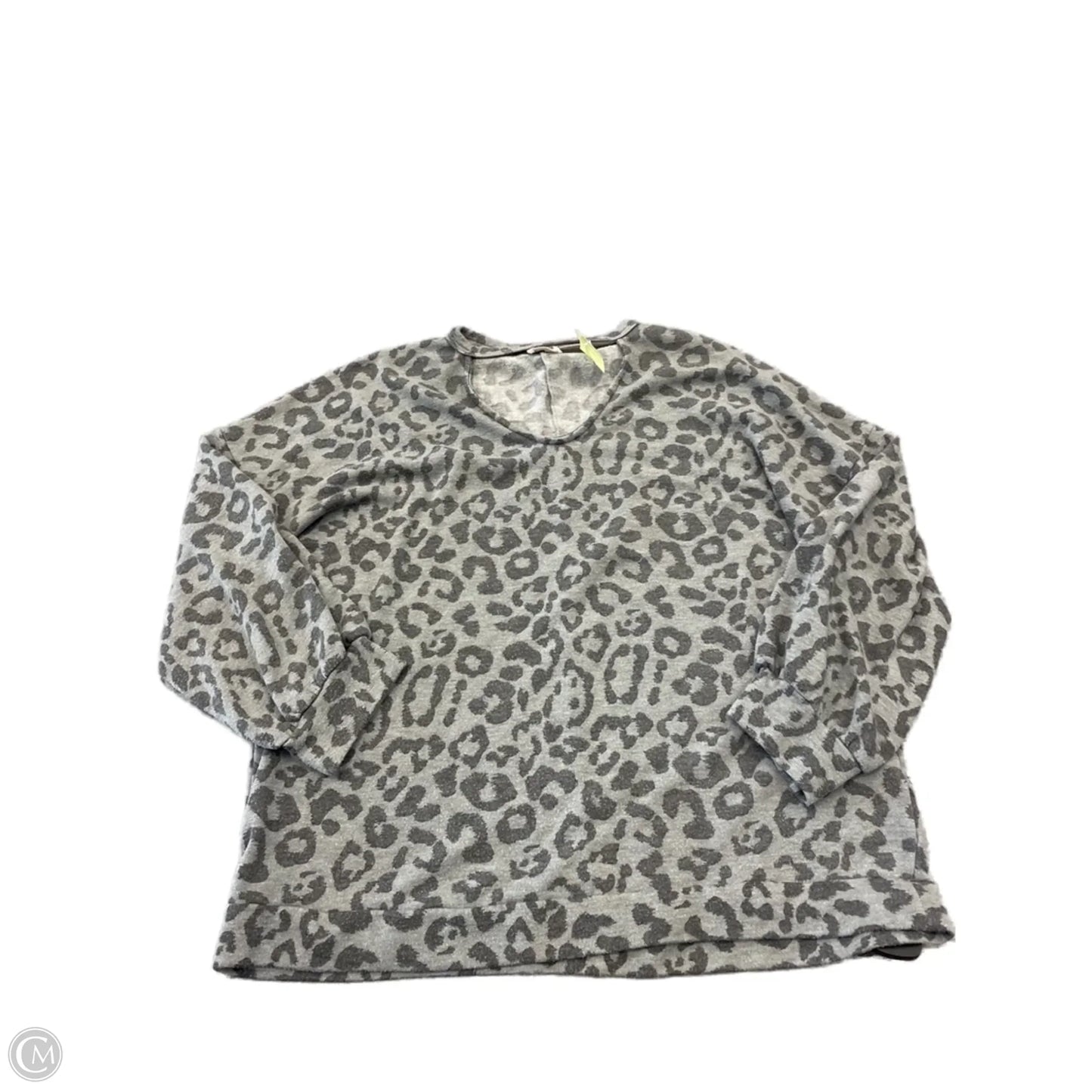 Top Long Sleeve By 143 Story In Grey, Size: 2x