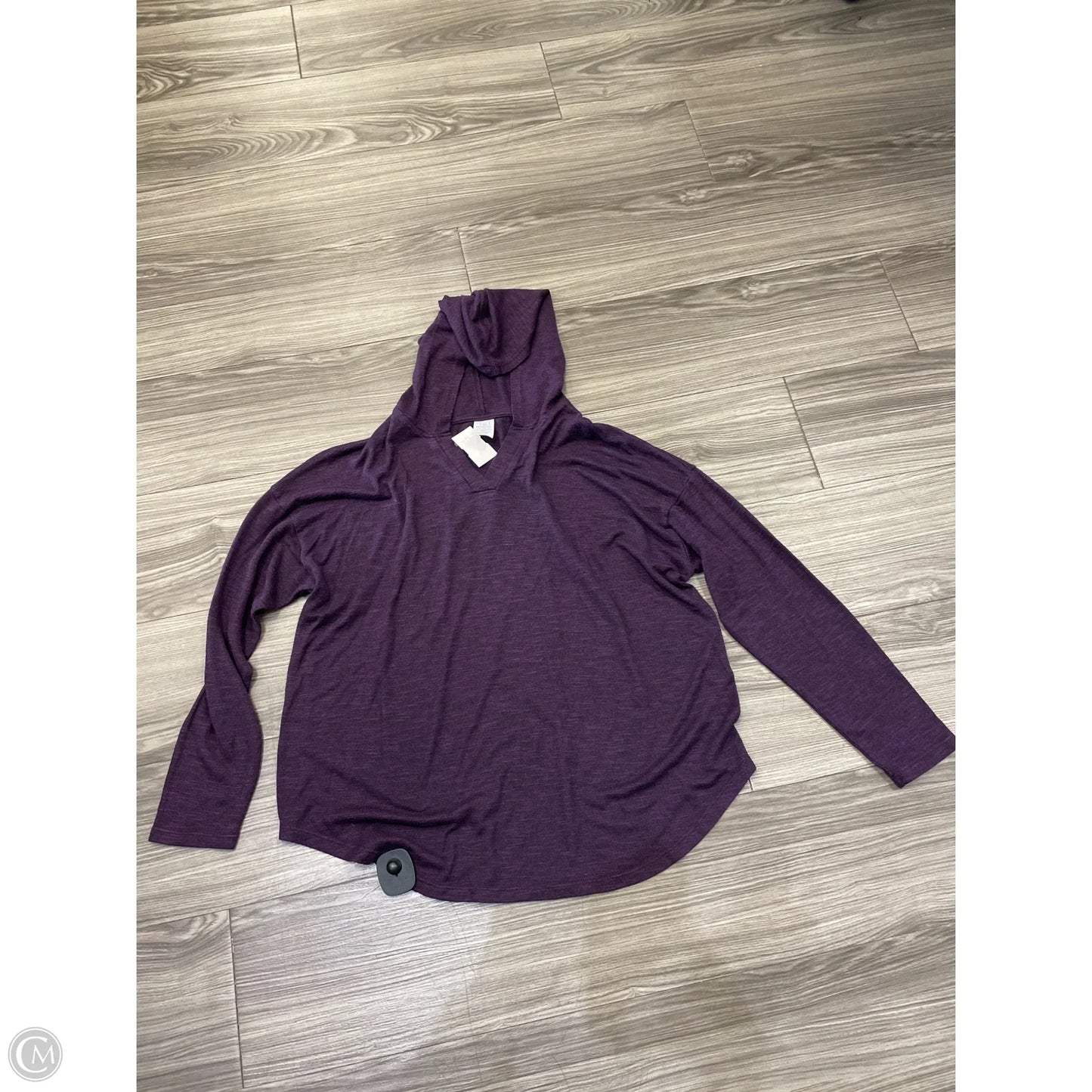 Top Long Sleeve By Time And Tru In Purple, Size: L
