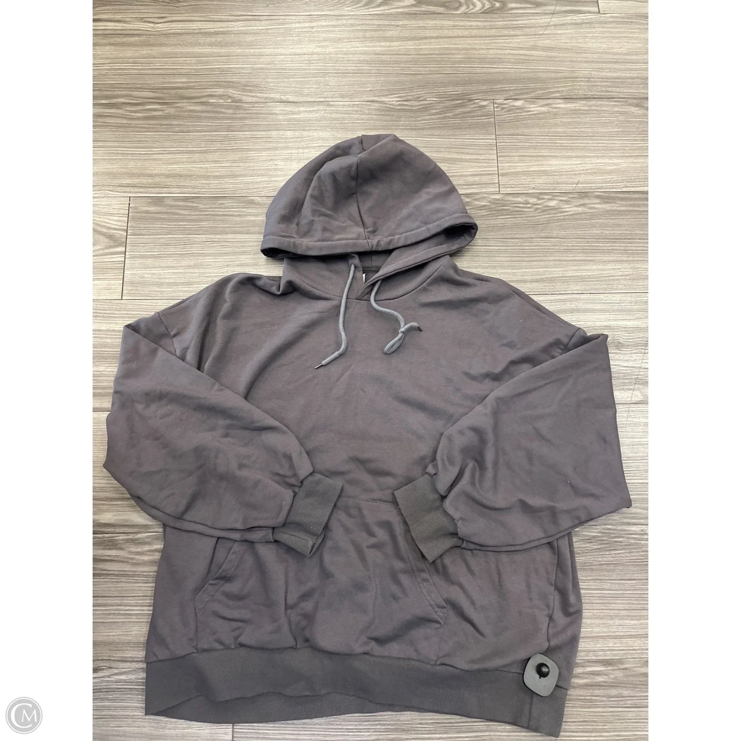 Sweatshirt Hoodie By Dazy In Grey, Size: 2x