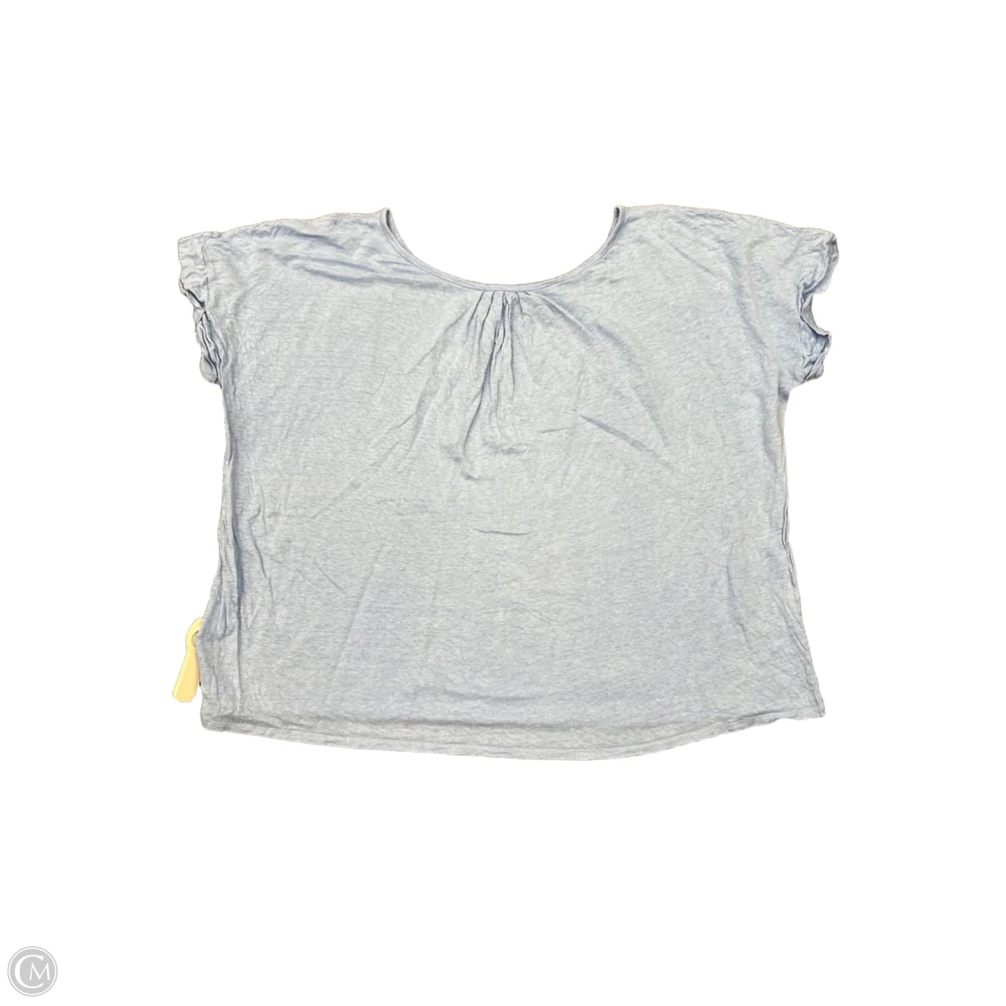 Top Short Sleeve Designer By Eileen Fisher In Blue, Size: Xl