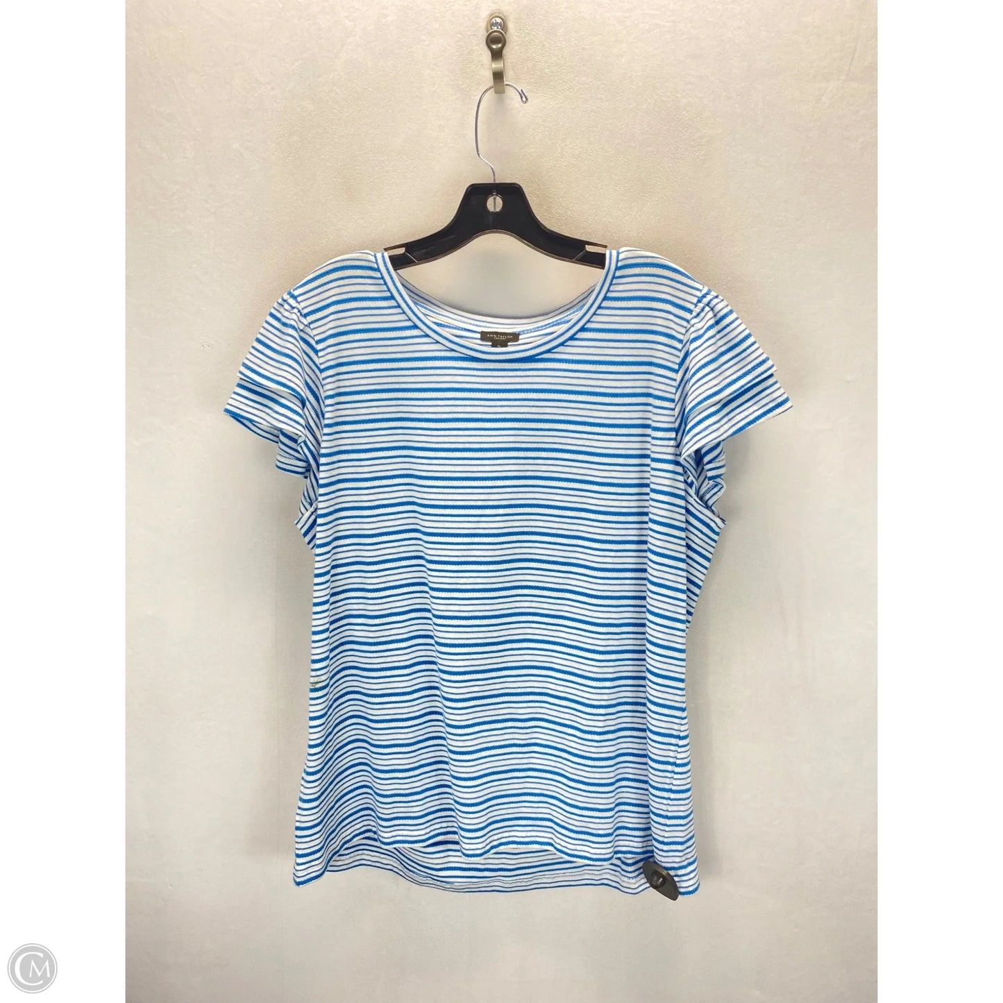 Top Short Sleeve By Ann Taylor In Blue & White, Size: Xl