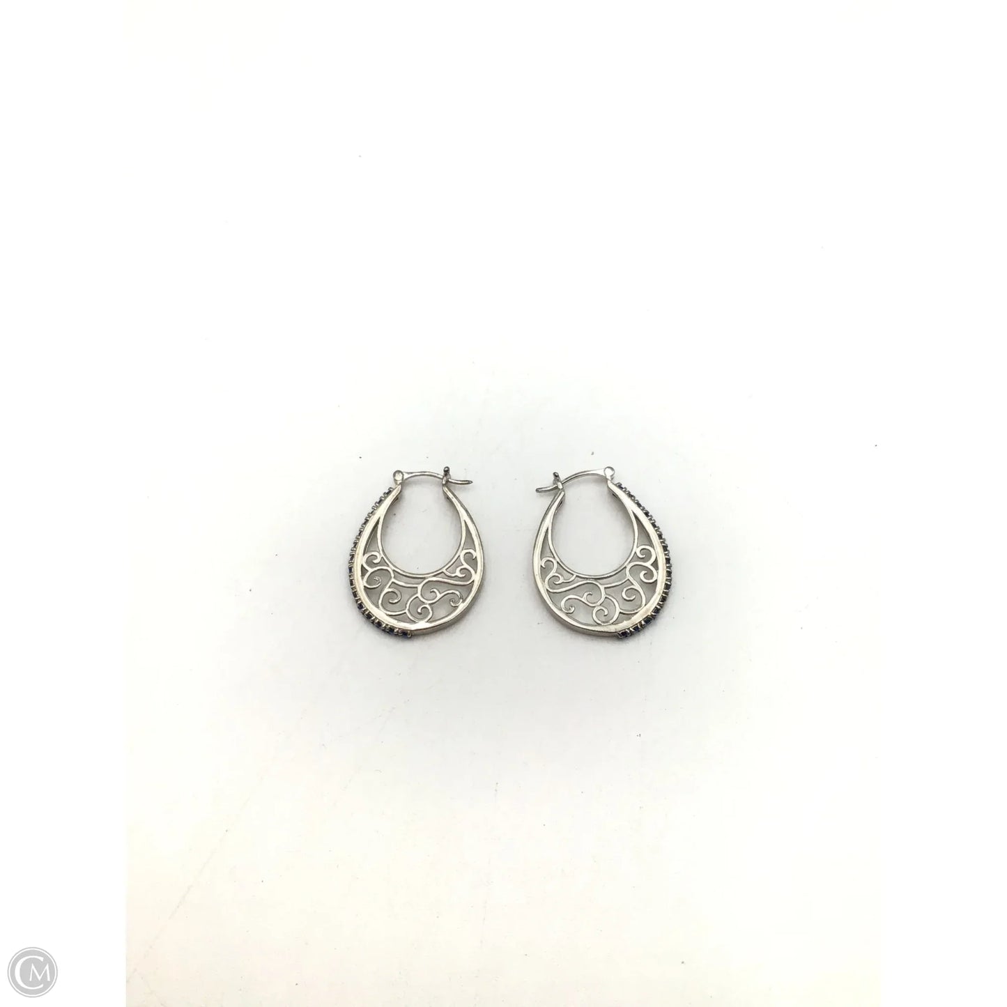 Earrings Hoop By Clothes Mentor
