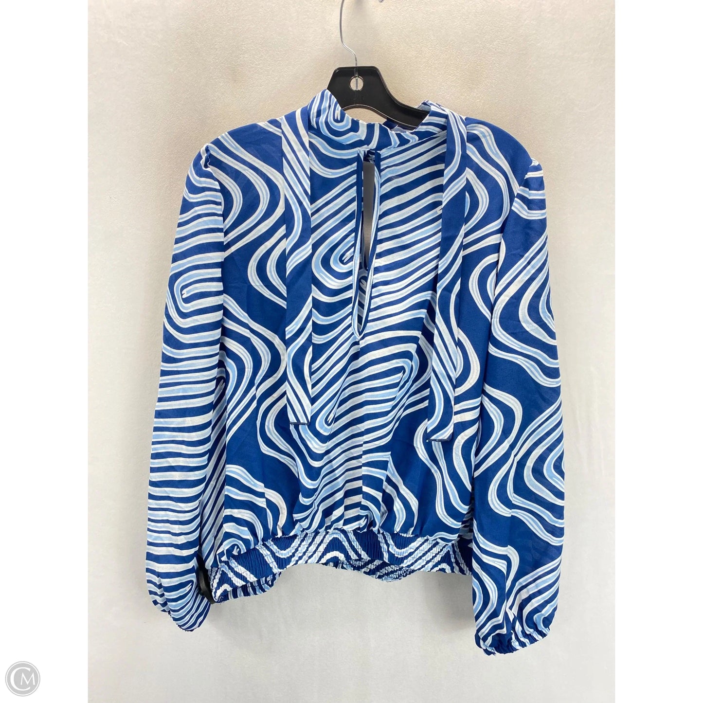 Blouse Long Sleeve By Ashley Stewart In Blue & White, Size: 12