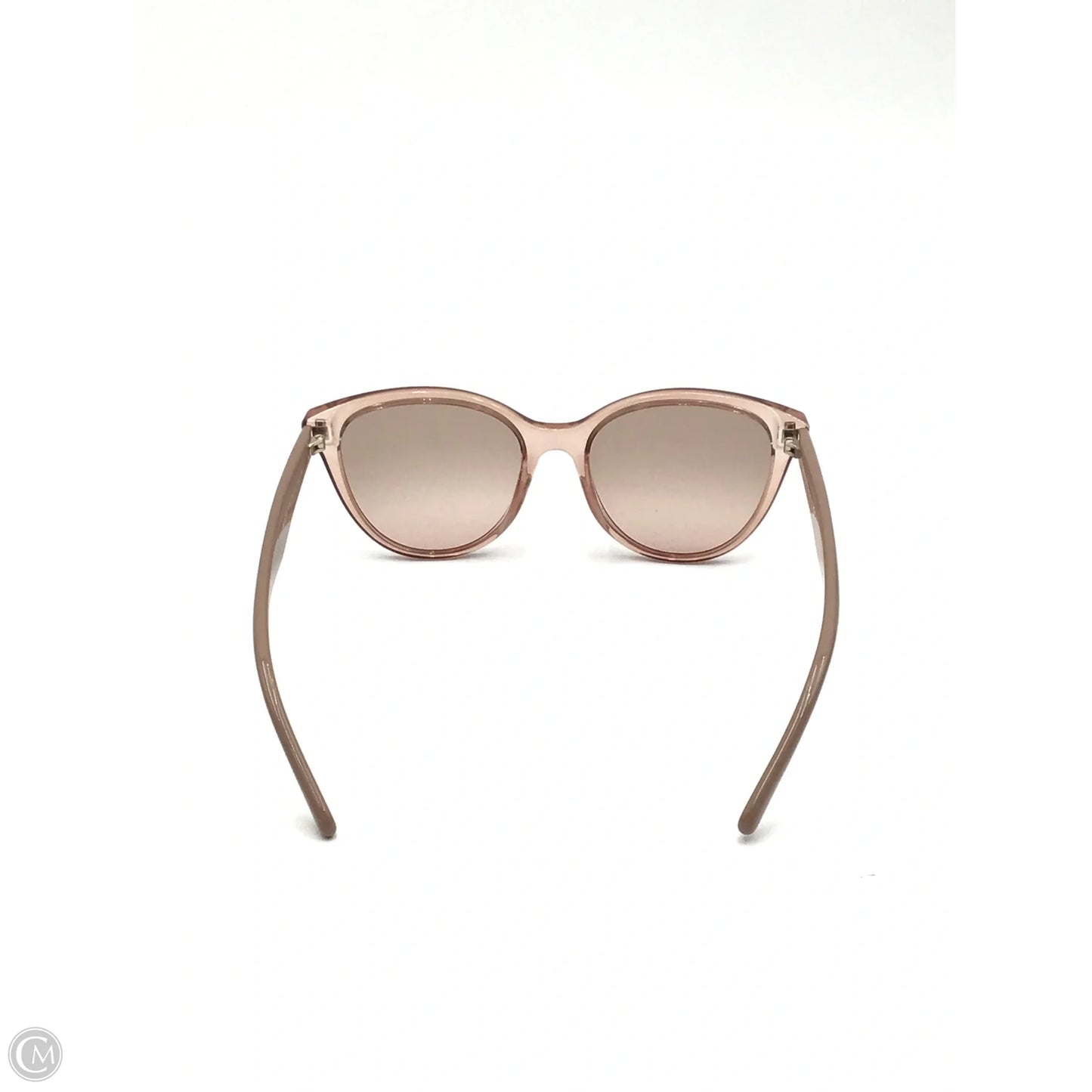 Sunglasses Luxury Designer By Ferragamo