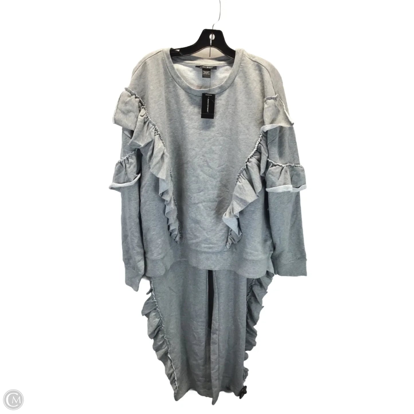 Pants Set 2pc By Ashley Stewart In Grey, Size: 2x