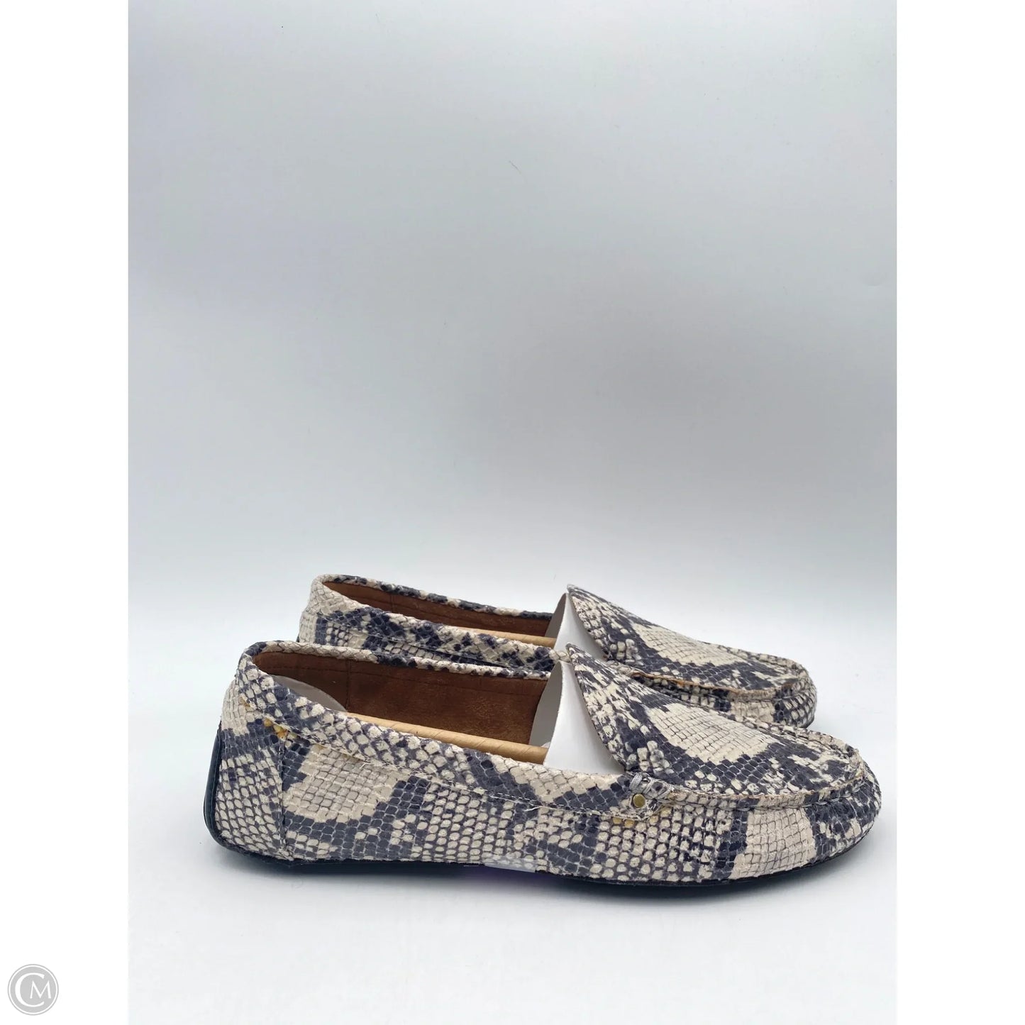 Shoes Flats By Aerosoles In Snakeskin Print, Size: 11