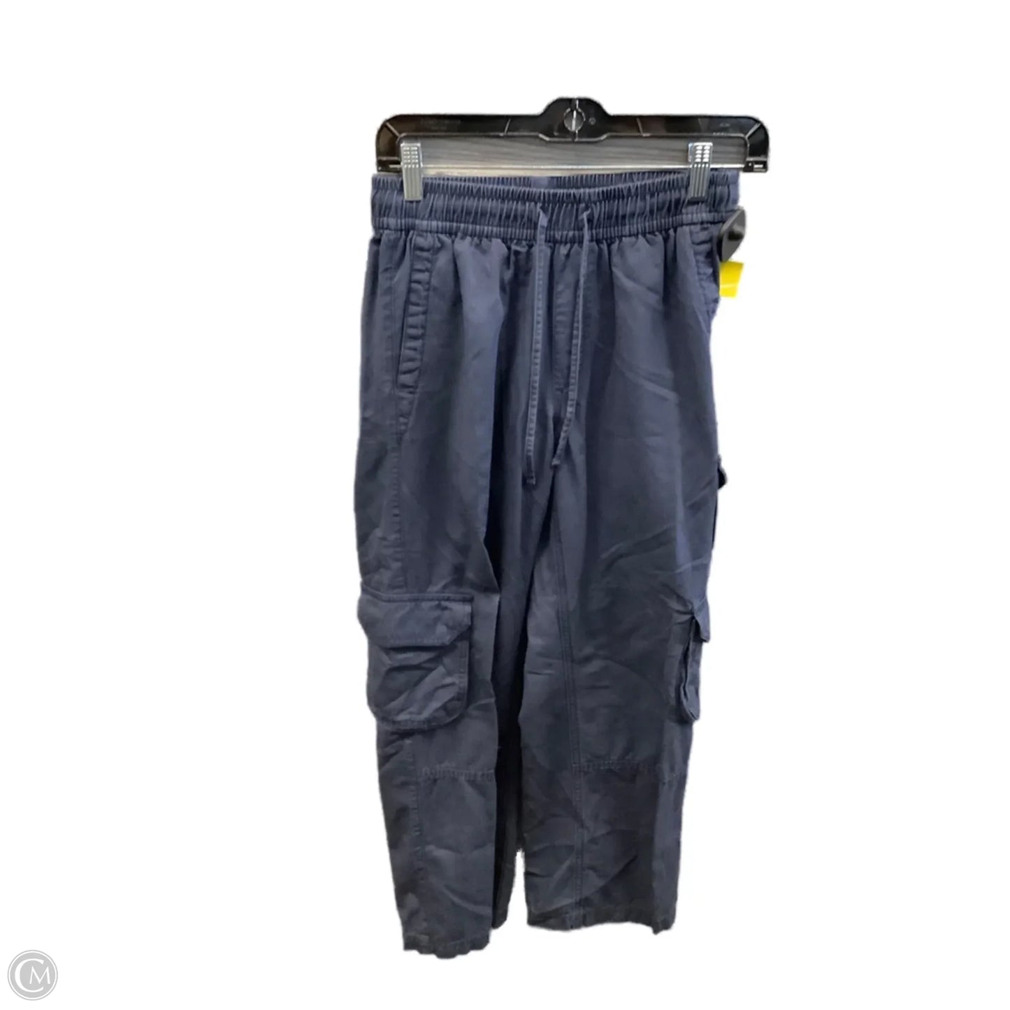 Pants Cargo & Utility By Old Navy In Blue, Size: 2