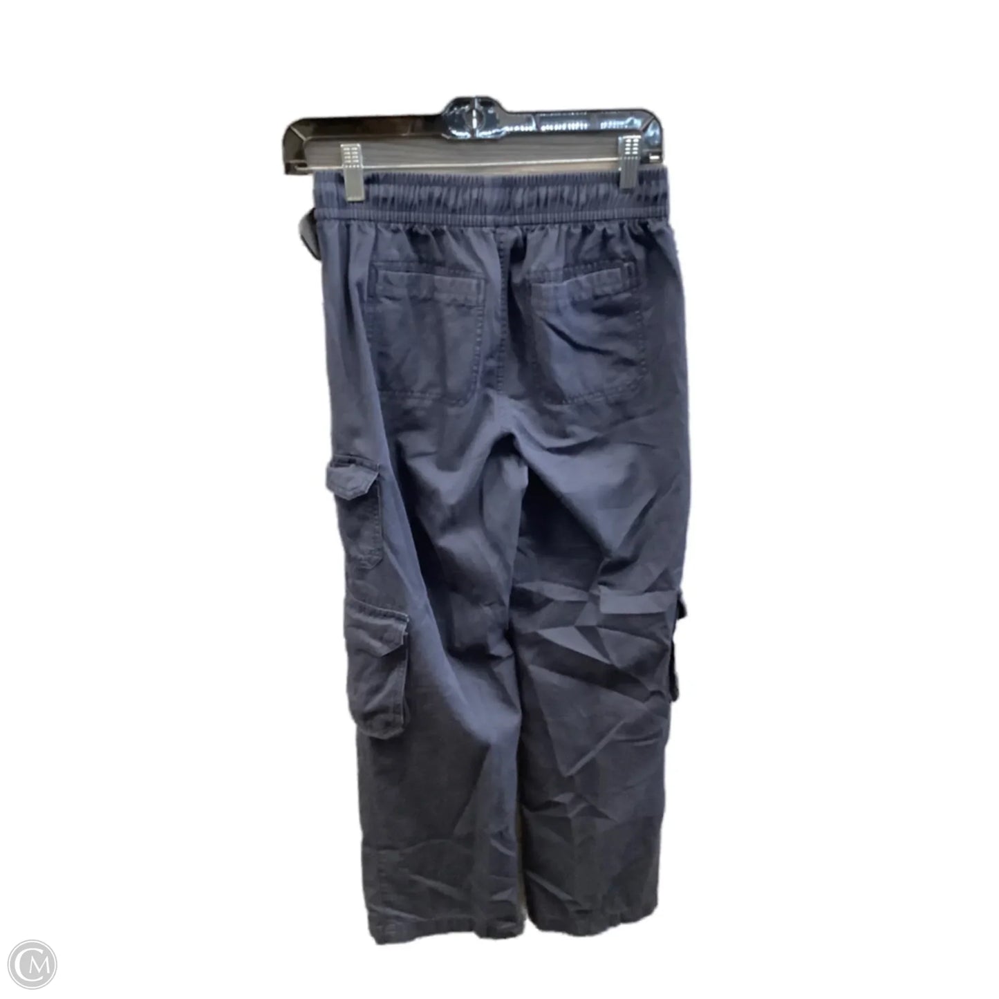 Pants Cargo & Utility By Old Navy In Blue, Size: 2