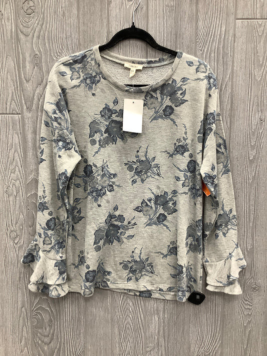 Top Long Sleeve By Clothes Mentor In Blue & Grey, Size: L