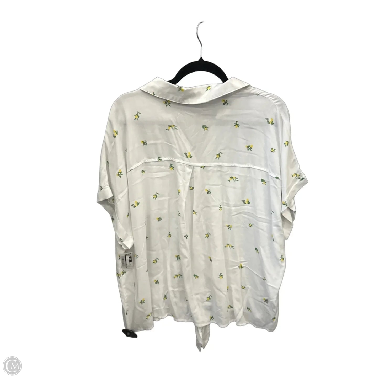 Top Short Sleeve By Emily Daniels In White, Size: 2x