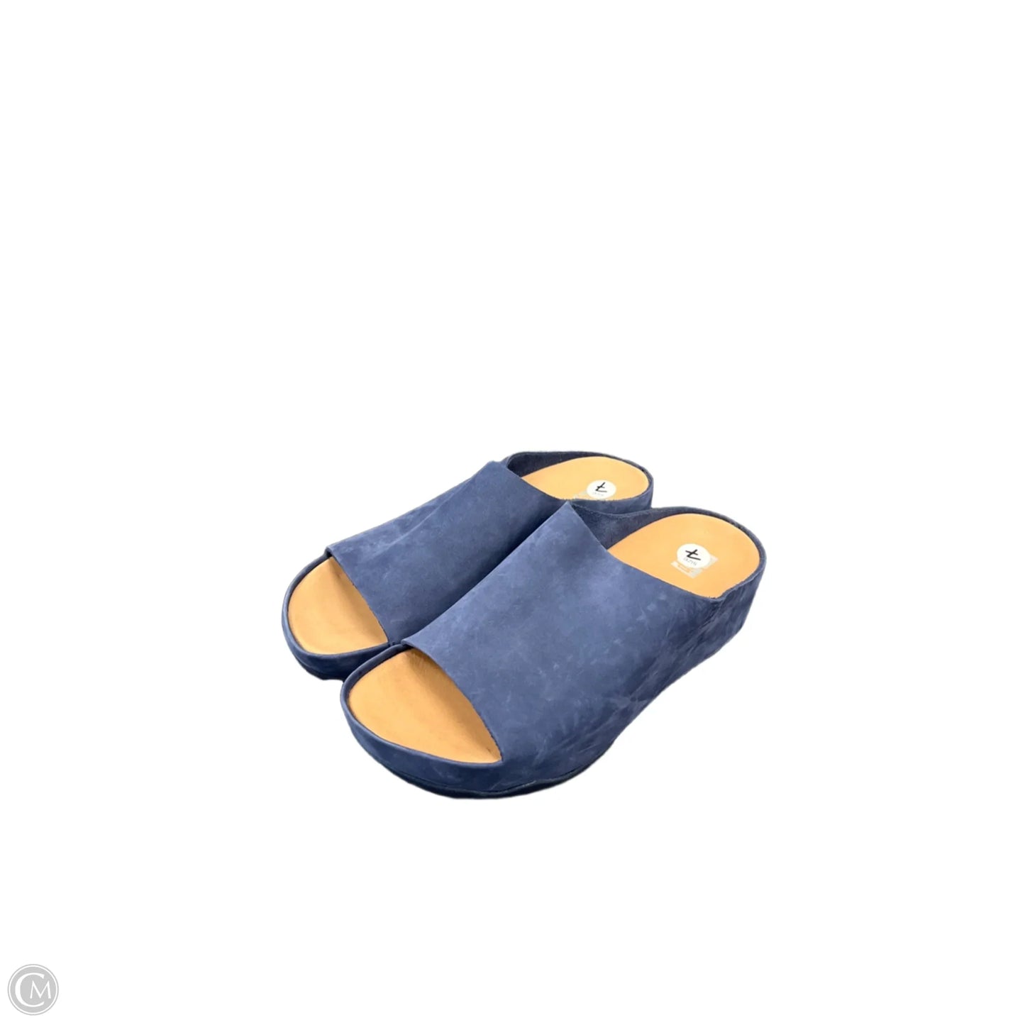 Sandals Flats By Fitflop In Blue, Size: 7