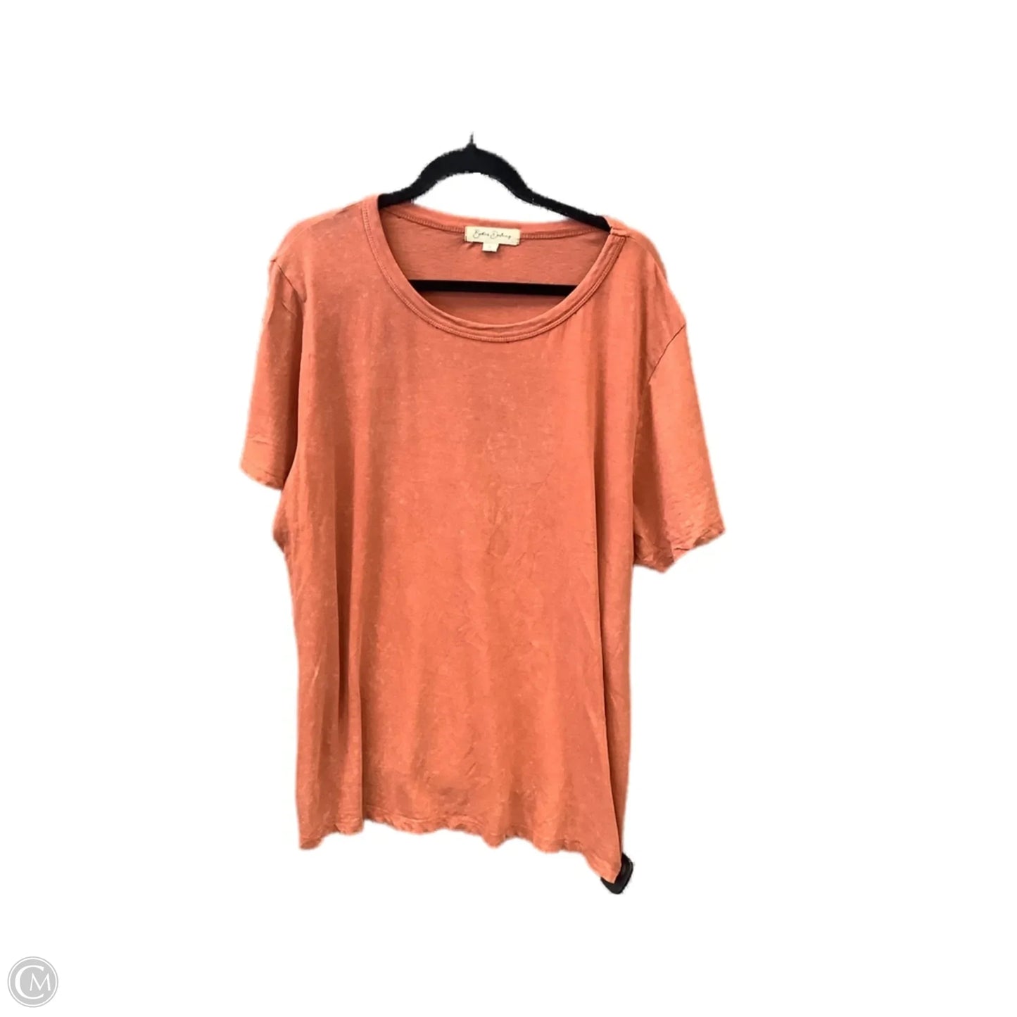 Top Short Sleeve Basic By Clothes Mentor In Orange, Size: 1x