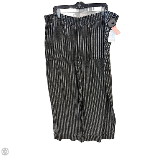 Pants Other By Time And Tru In Black, Size: 22
