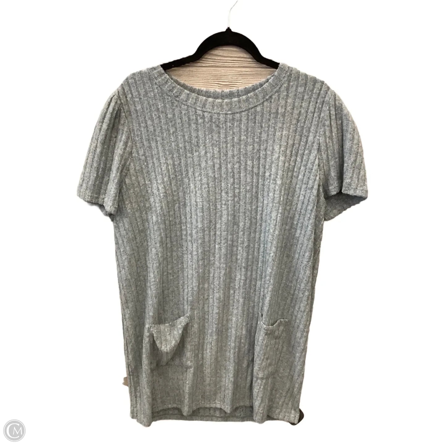 Dress Casual Short By Clothes Mentor In Blue, Size: 2x