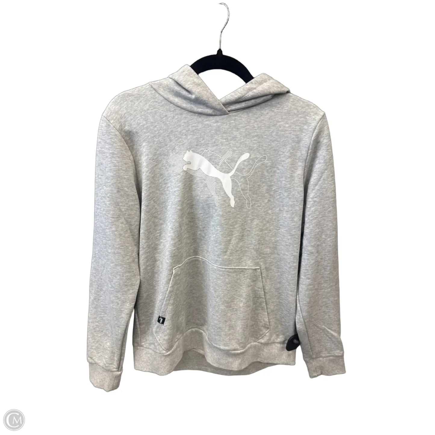 Sweatshirt Hoodie By Puma In Grey, Size: L
