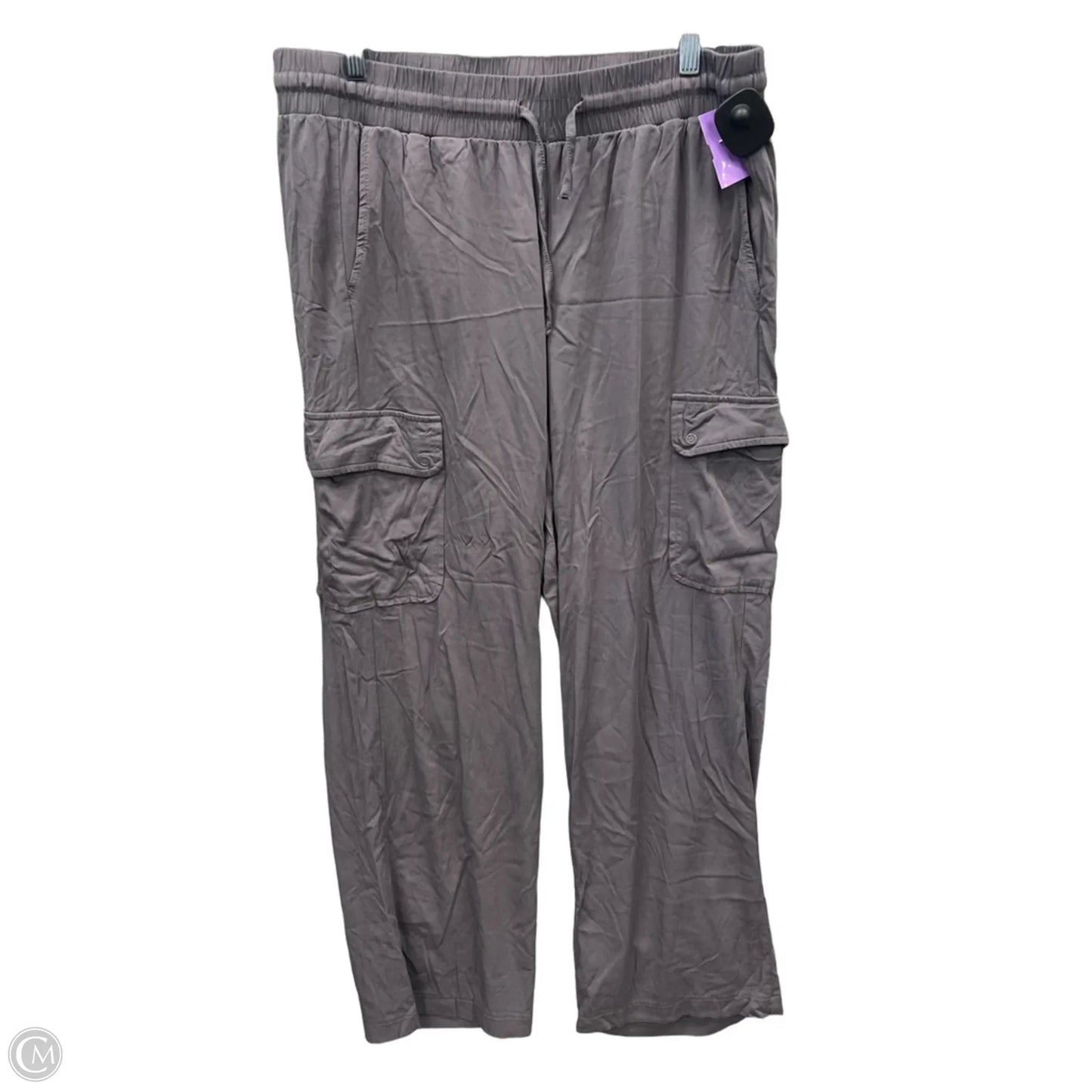 Pants Other By Torrid In Grey, Size: 12