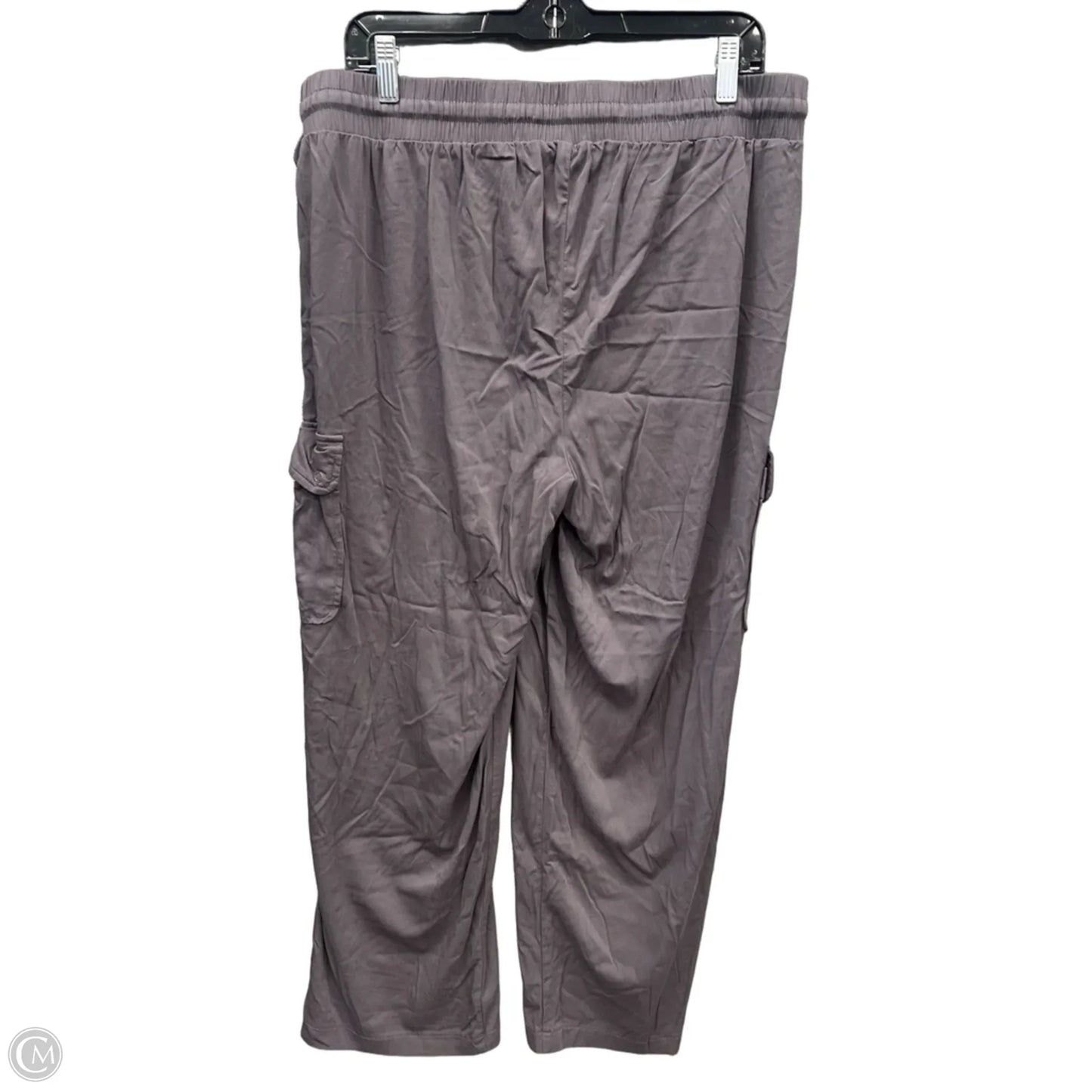 Pants Other By Torrid In Grey, Size: 12