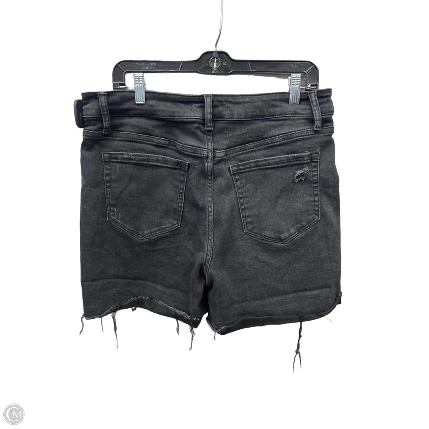 Shorts By Flying Monkey In Black, Size: 14