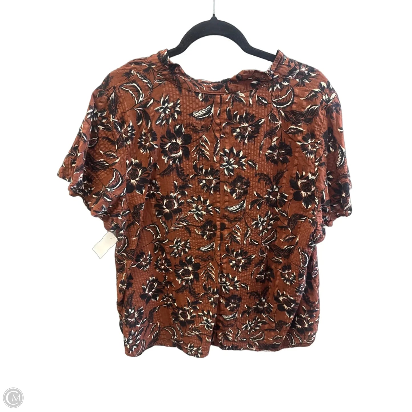 Top Short Sleeve By Lane Bryant In Brown, Size: Xl