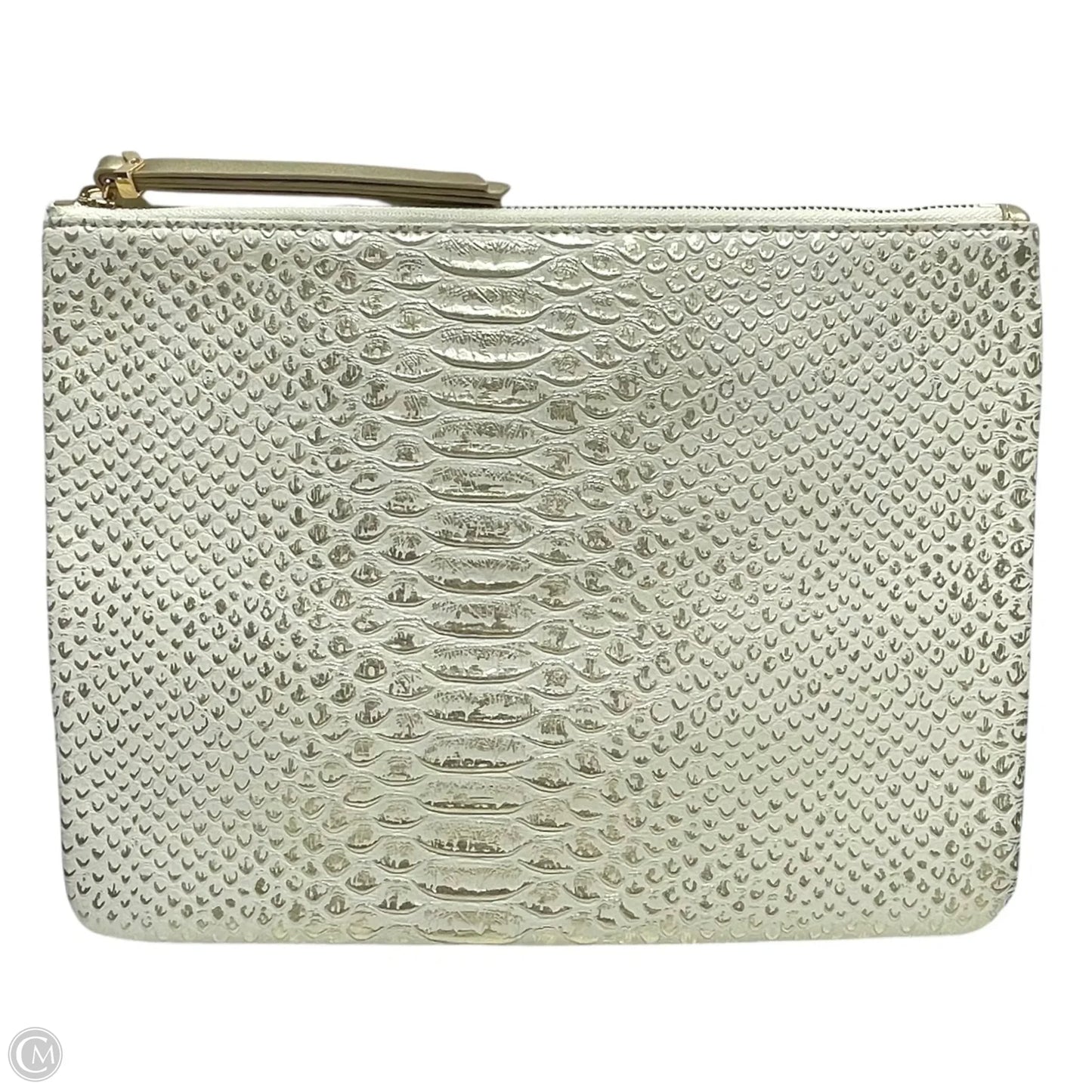 Clutch By Stella And Dot, Size: Large