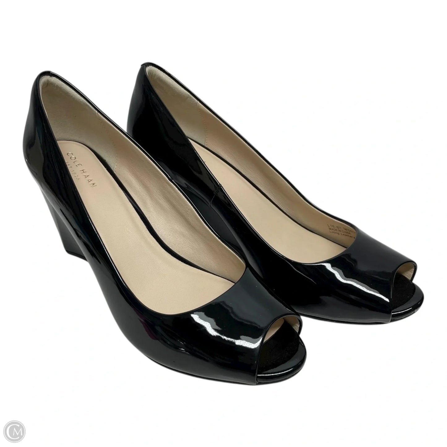 Sandals Heels Wedge By Cole-haan In Black, Size: 10