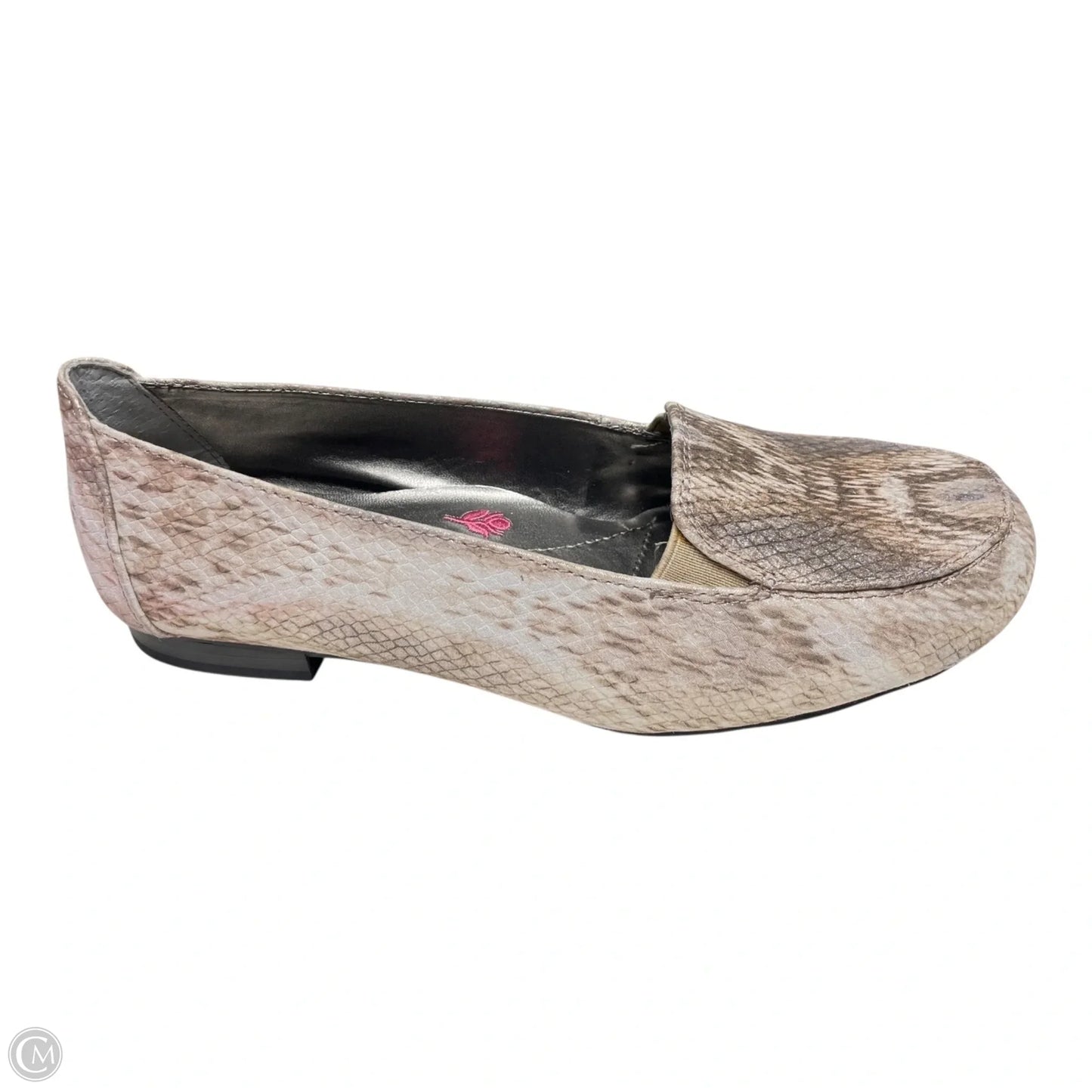 Shoes Flats By ROS HOMMERSON In Snakeskin Print, Size: 7