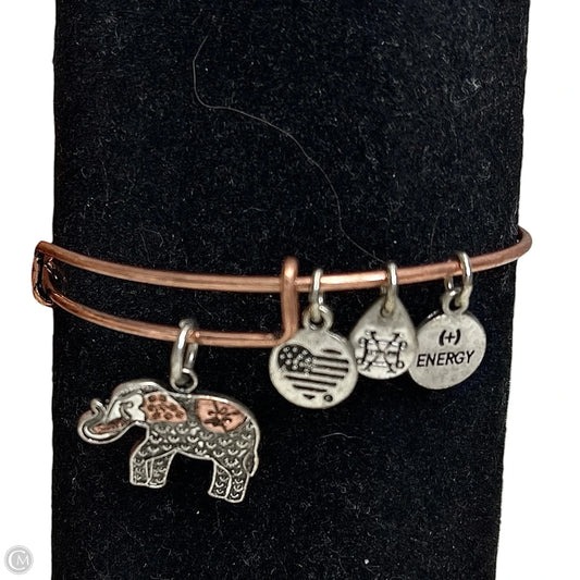 Bracelet Charm By Alex And Ani