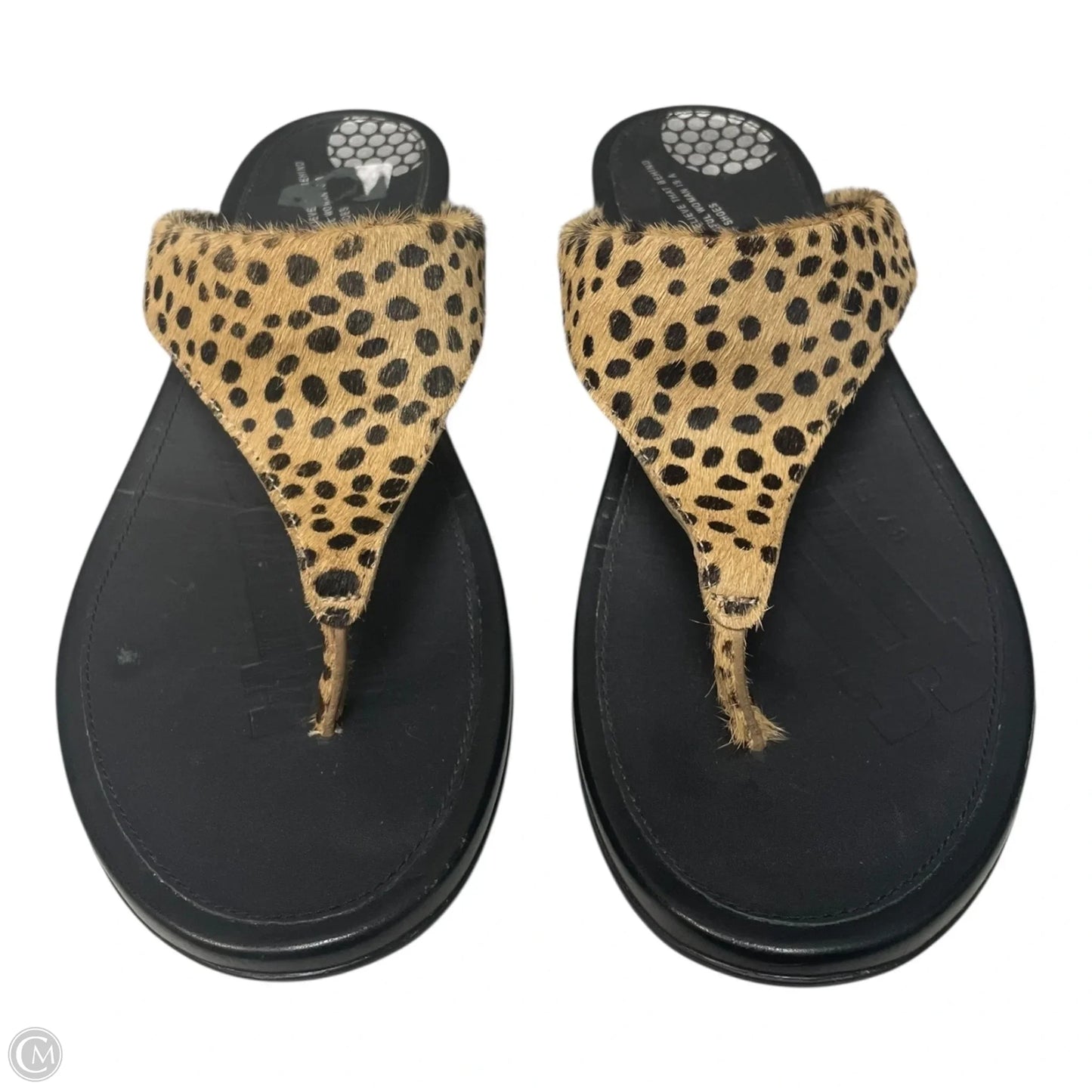 Sandals Flats By Fitflop In Animal Print, Size: 10.5