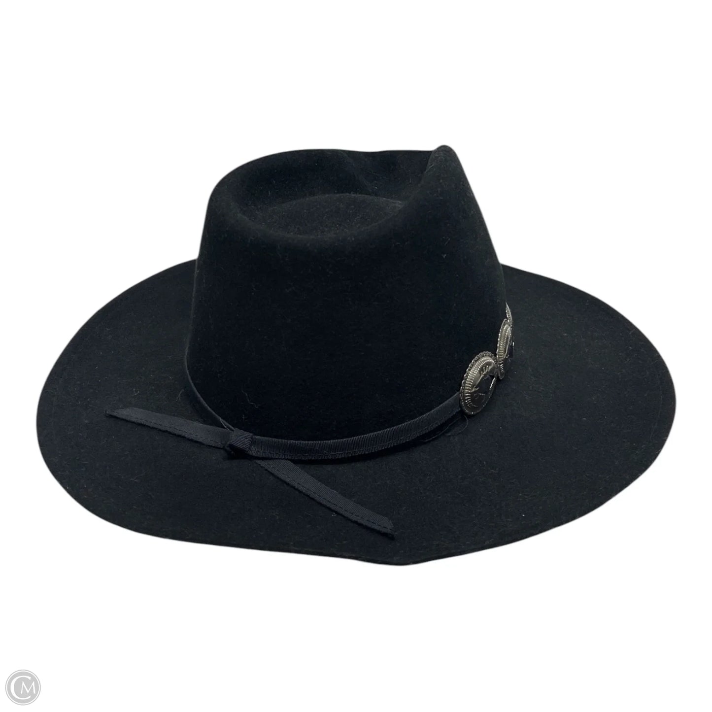 Hat Cowgirl By MICHAEL HOWARD