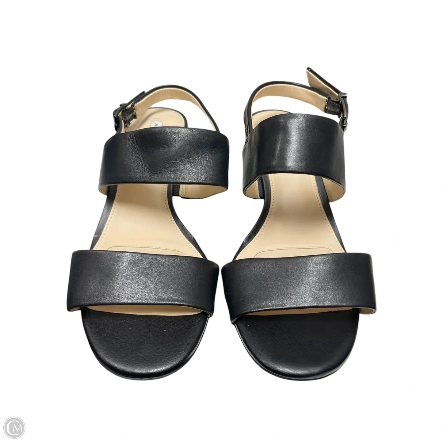 Sandals Heels Block By Alex Marie In Black, Size: 7
