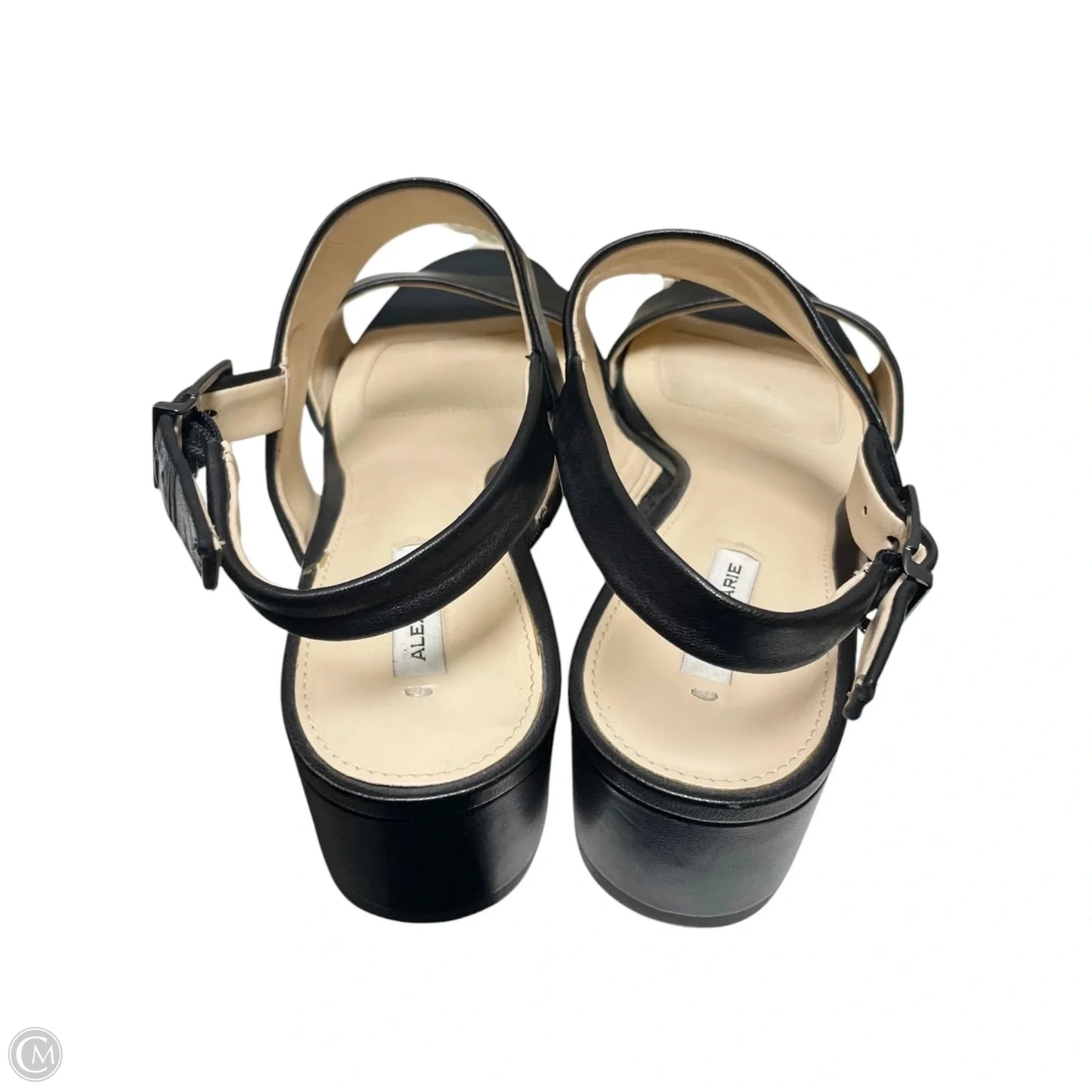 Sandals Heels Block By Alex Marie In Black, Size: 7
