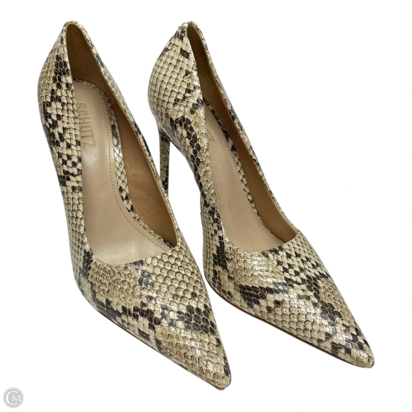 Shoes Designer By schutz In Snakeskin Print, Size: 8