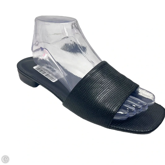 Sandals Heels Block By A New Day In Black, Size: 8.5