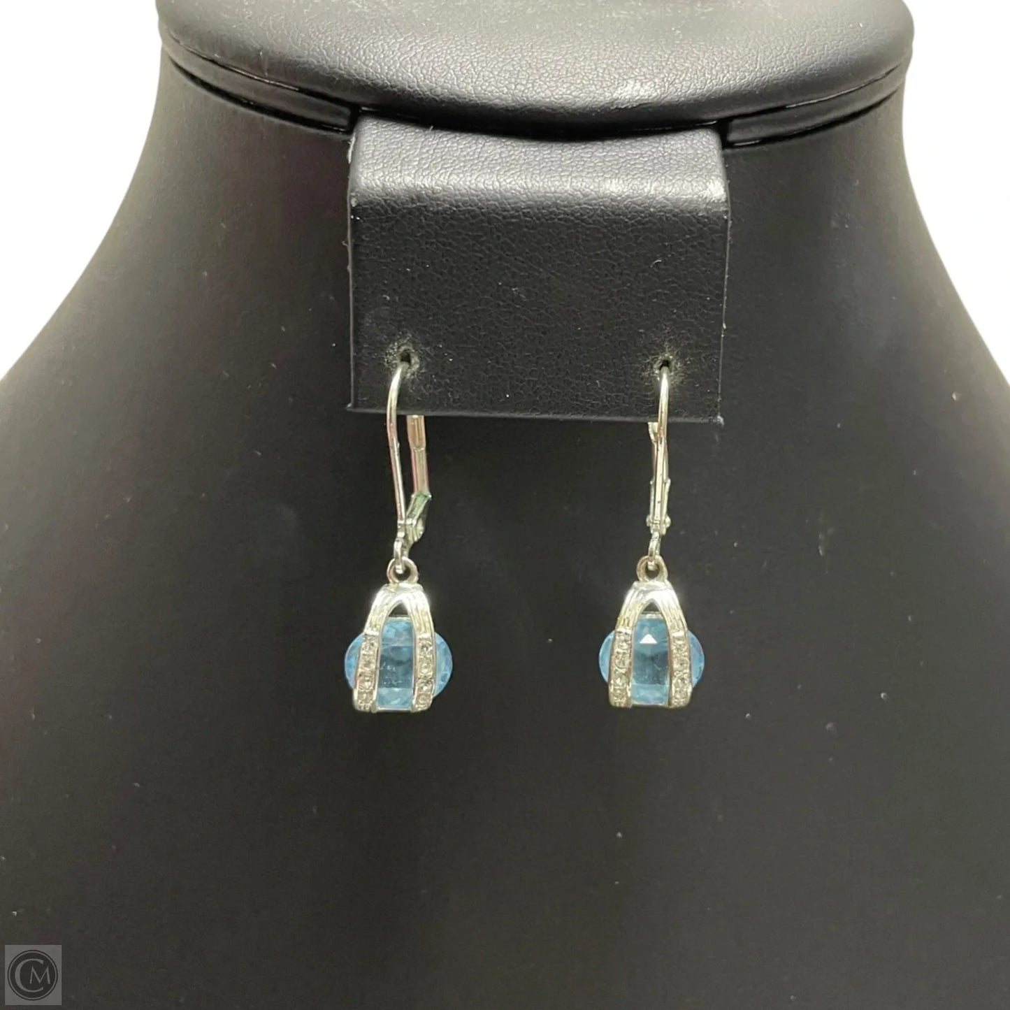Earrings Dangle/drop By Clothes Mentor