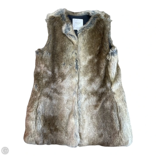 Vest Faux Fur & Sherpa By Zara In Black & Tan, Size: S