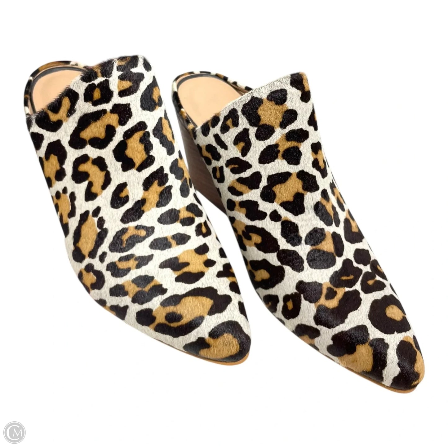 Shoes Heels Block By Able In Animal Print, Size: 7