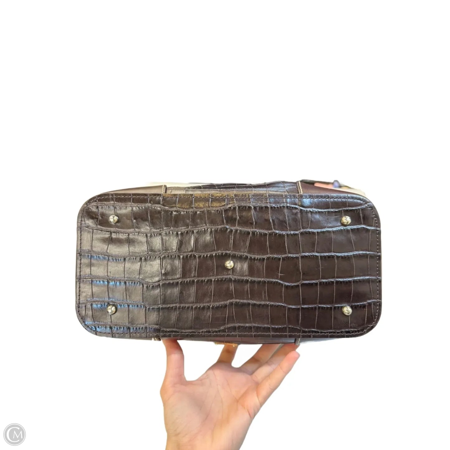 Handbag Designer By Dooney And Bourke, Size: Large