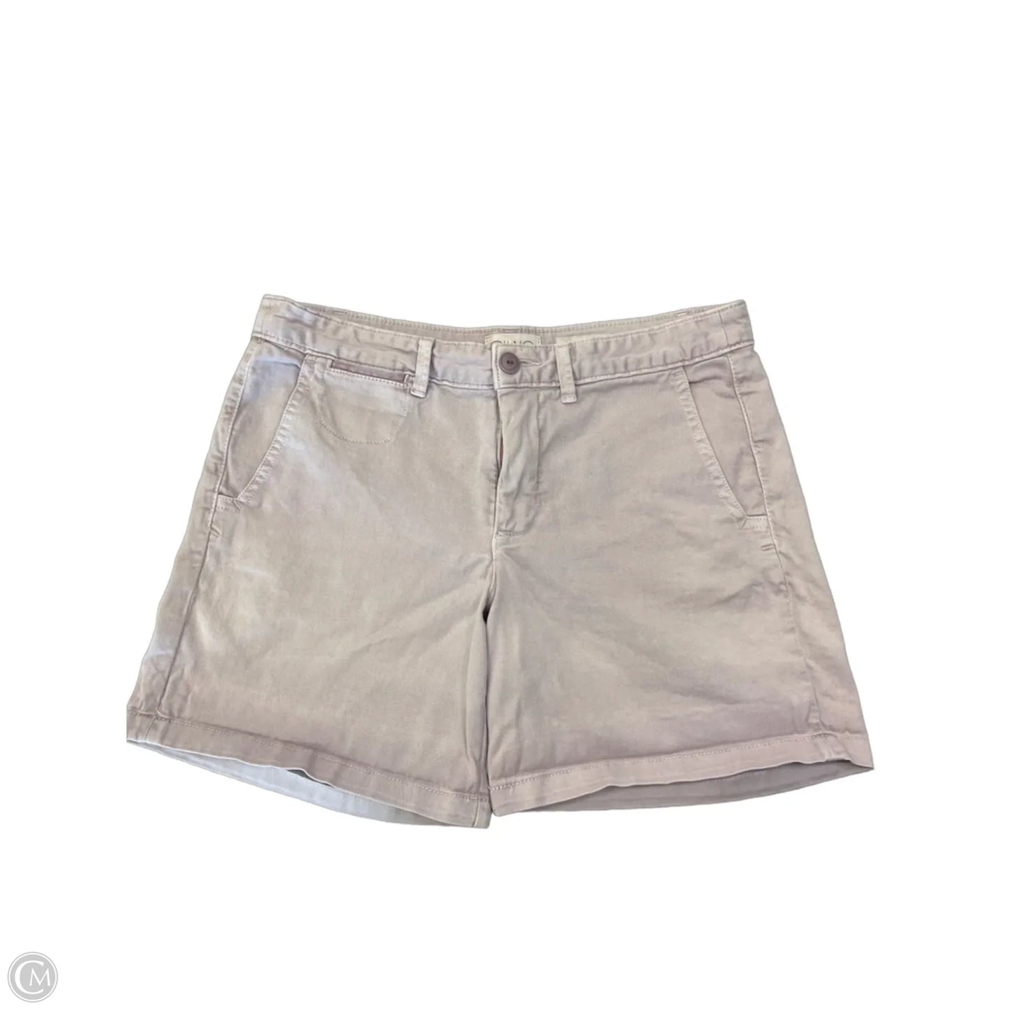 Shorts By Anthropologie In Purple, Size: S