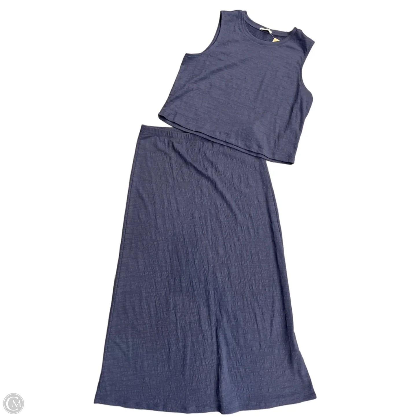 Skirt Set 2pc By Z Supply In Blue, Size: L